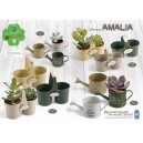 Collezione Amalia