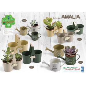 Collezione AMALIA