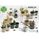 Collezione Amalia