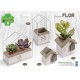 Collezione FLOR