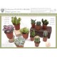 Piantine per Collezione FLOR