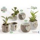 Collezione CLIZIA