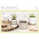 Linea LOVE